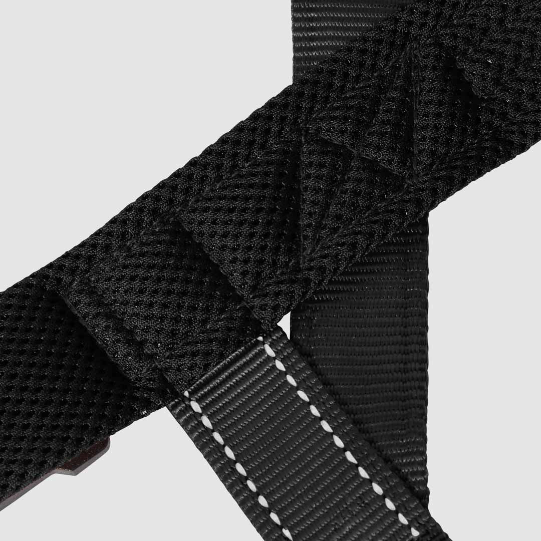 EasyFit No-Pull Harness