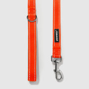 Reflective Leash