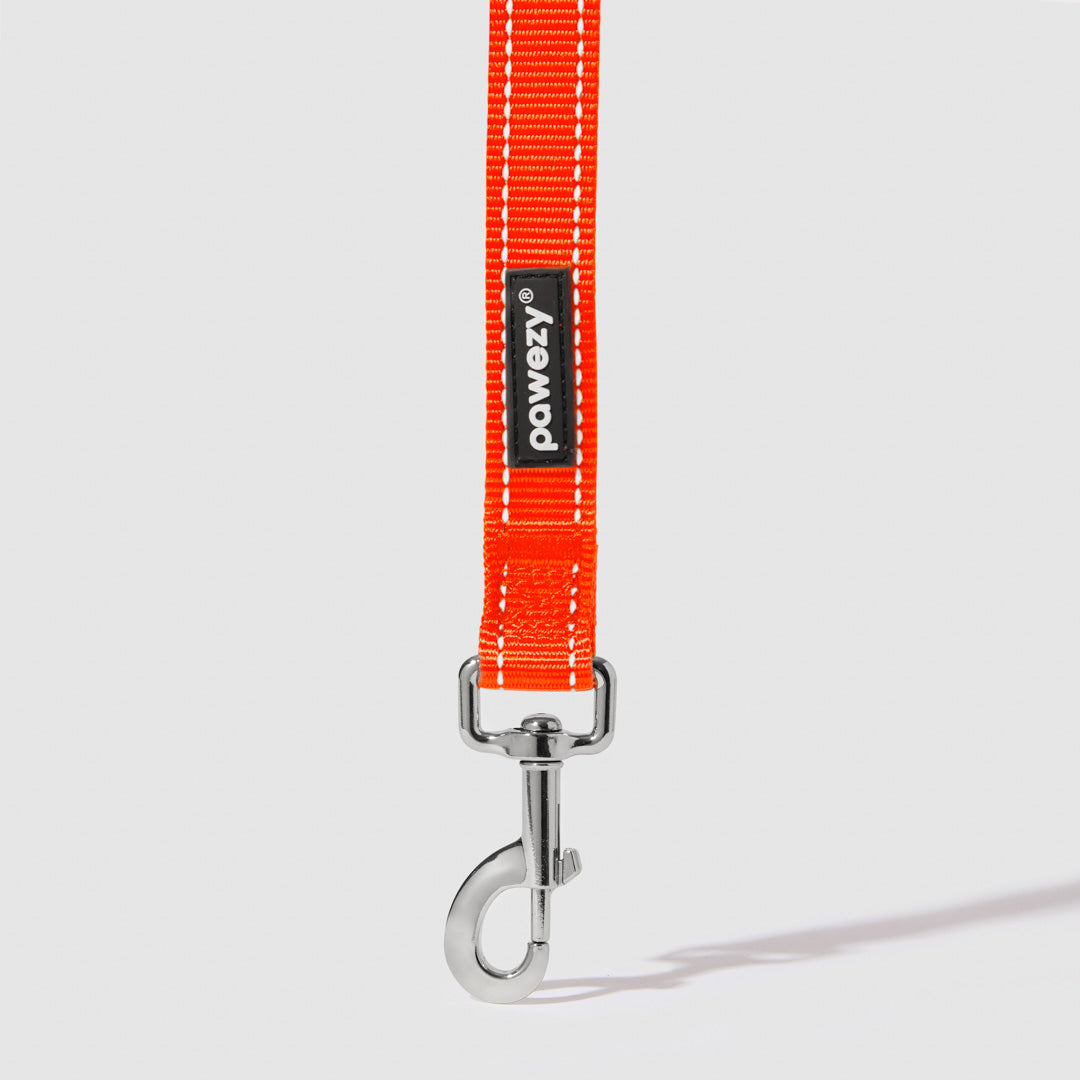 Reflective Leash