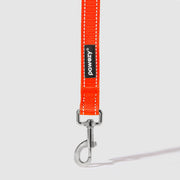 Reflective Leash