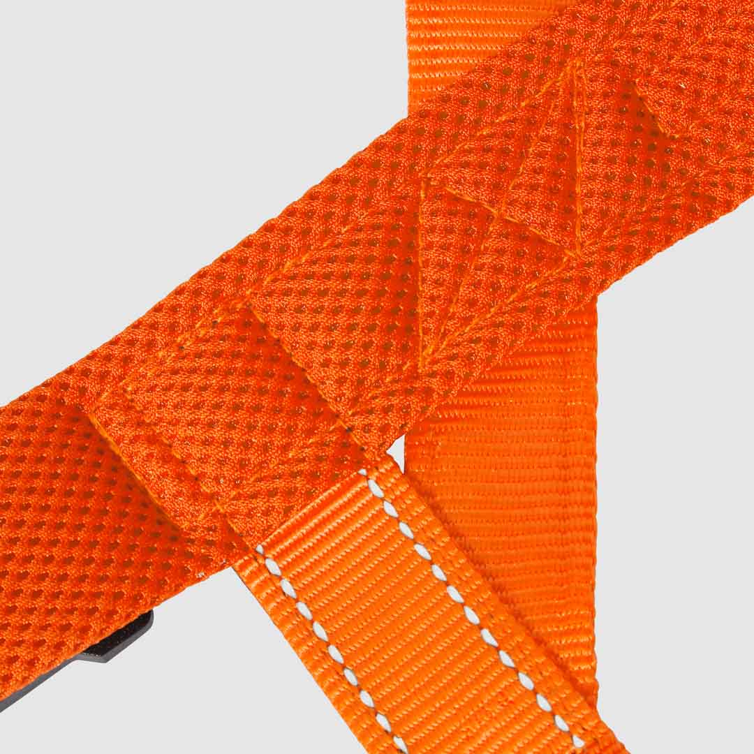 EasyFit No-Pull Harness