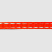 Reflective Leash