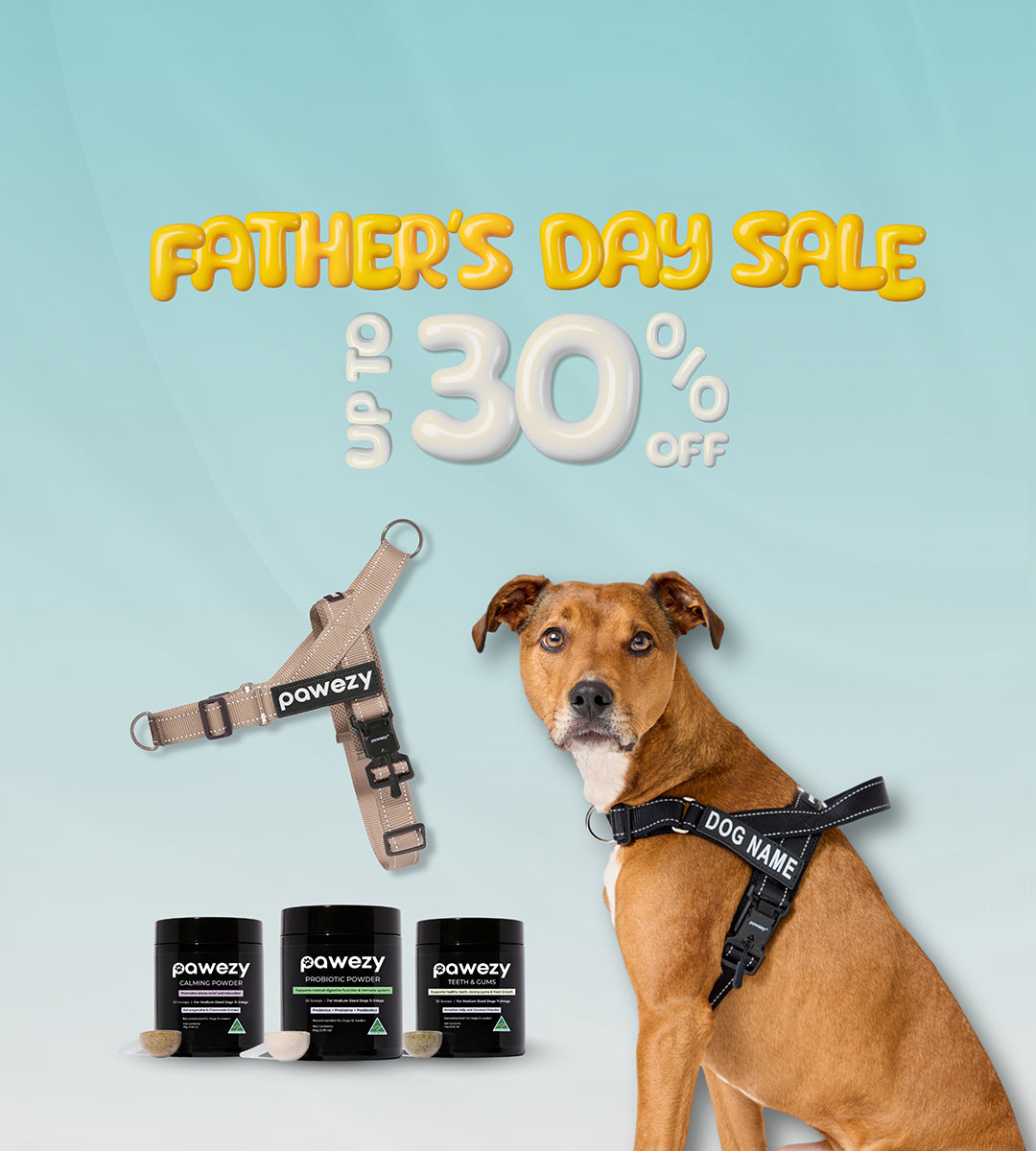 Father_s_Day_Mobile_banner.jpg