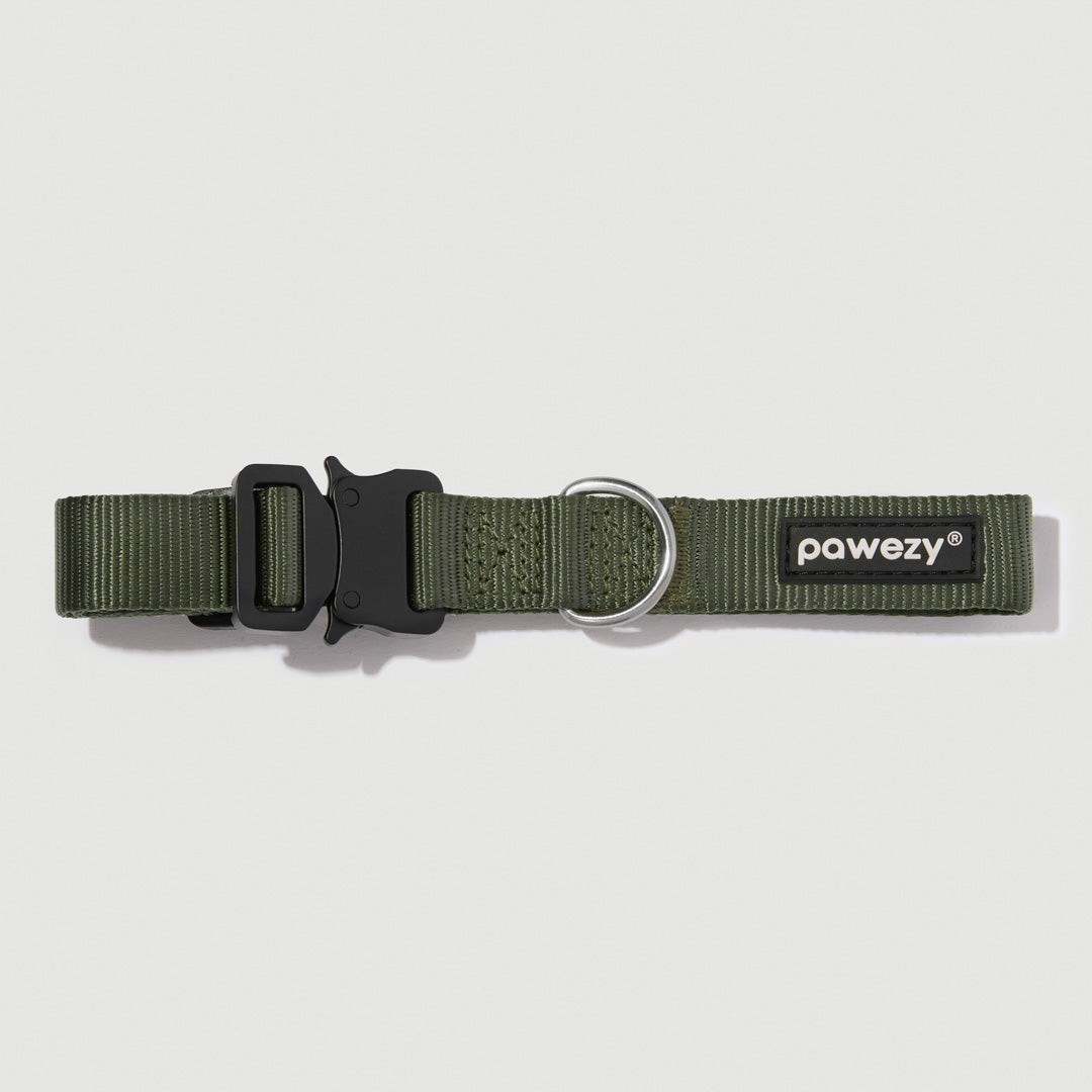 EasyFit Elite Collar