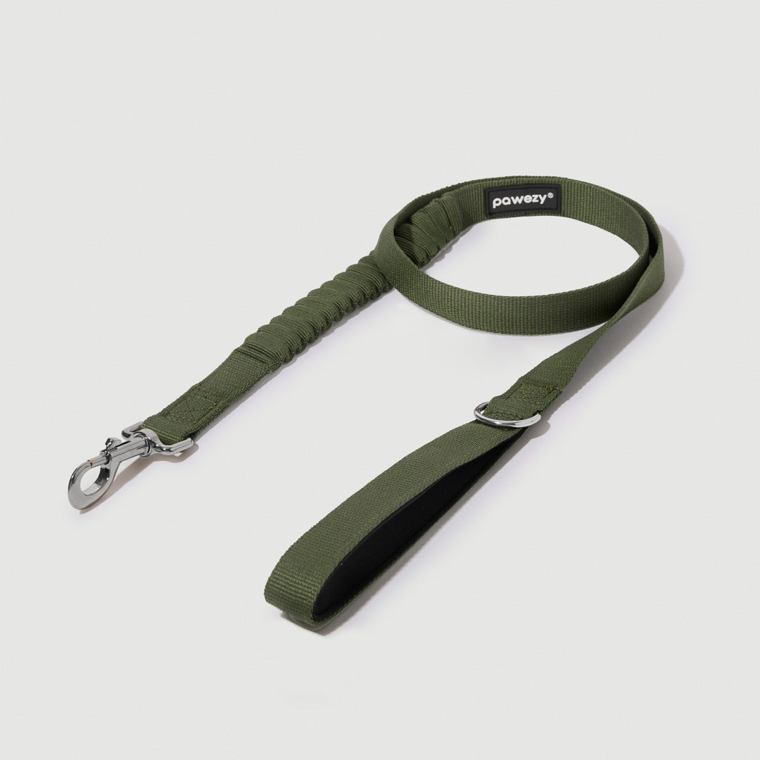 Shock Absorbing Leash