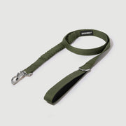 Shock Absorbing Leash