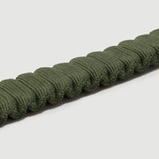 Shock Absorbing Leash