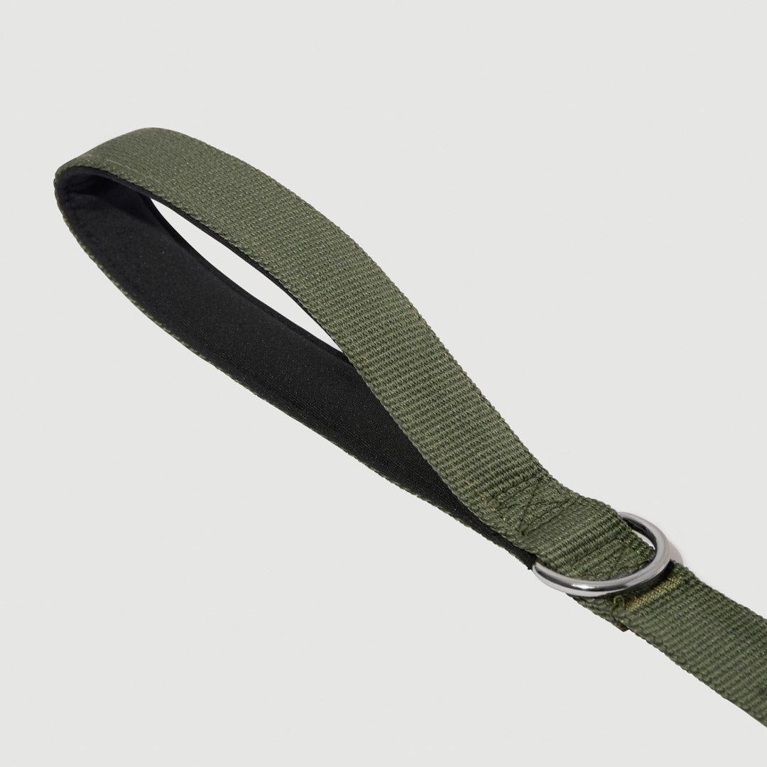 Shock Absorbing Leash