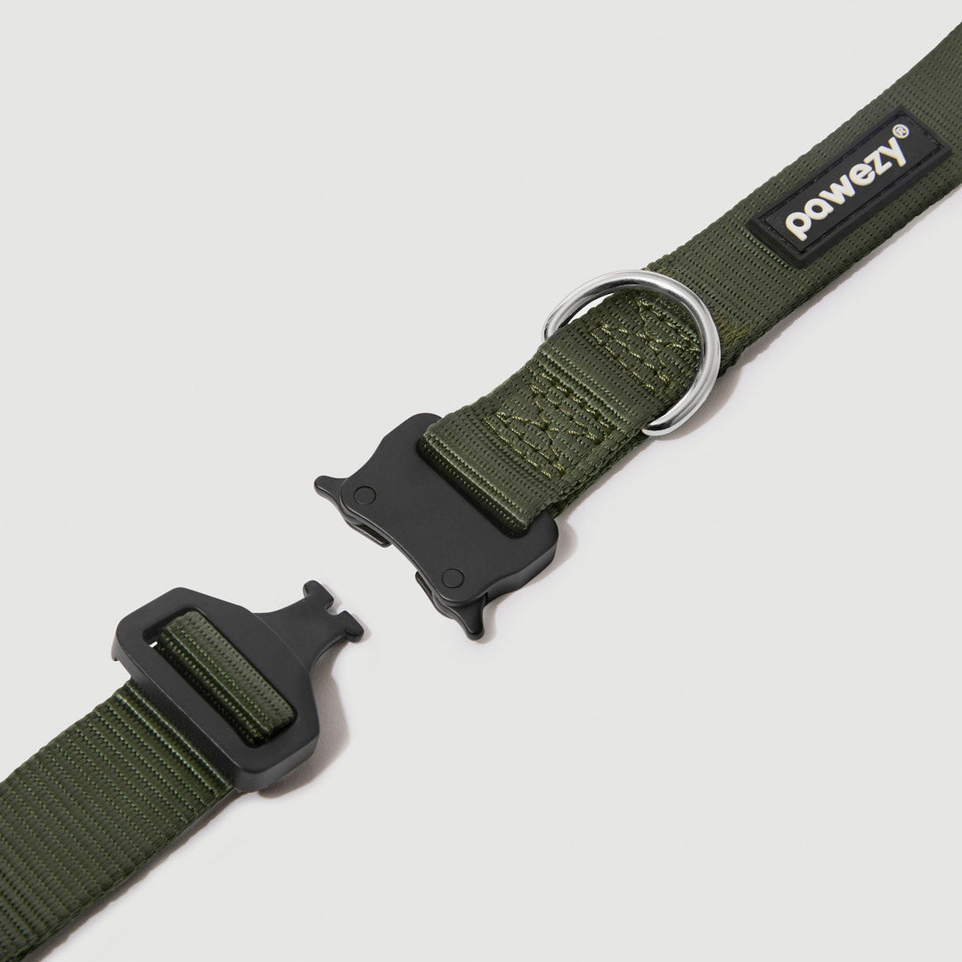 EasyFit Elite Collar