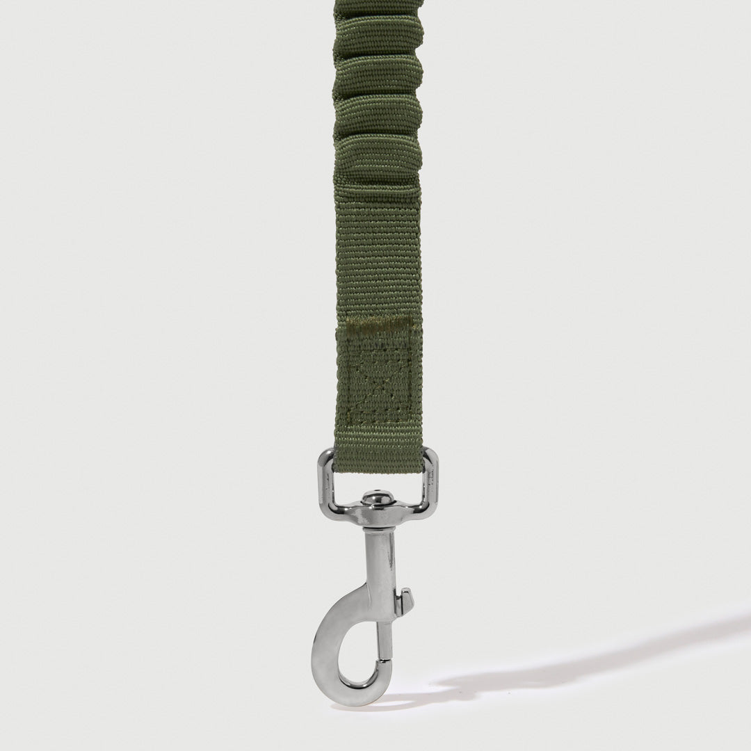 Shock Absorbing Leash