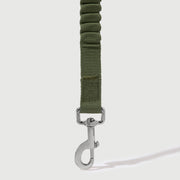 Shock Absorbing Leash