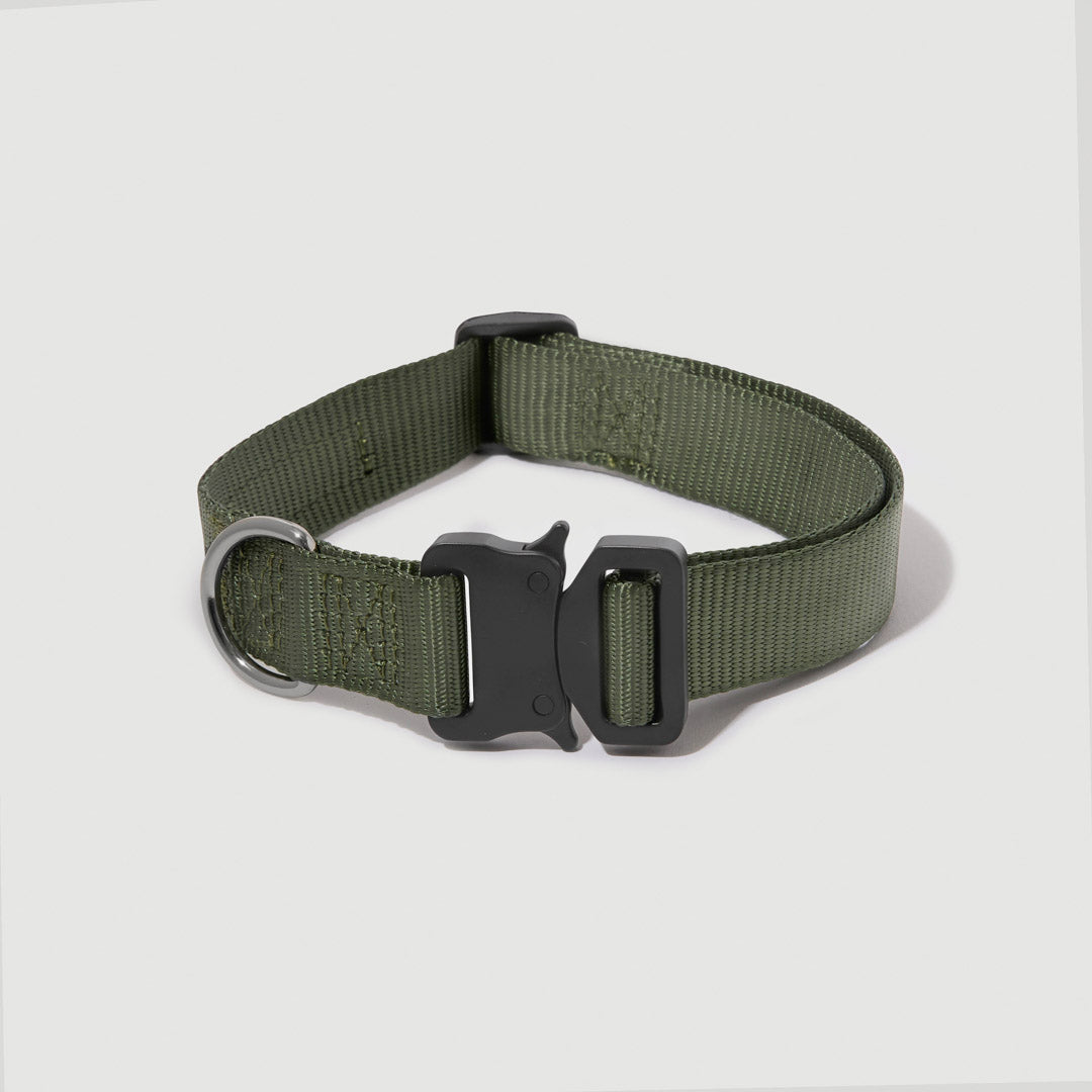 EasyFit Elite Collar