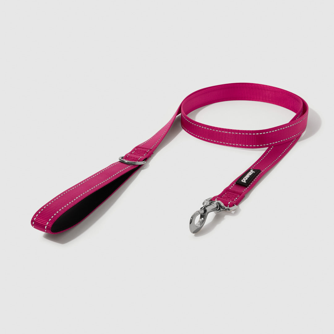 Reflective Leash