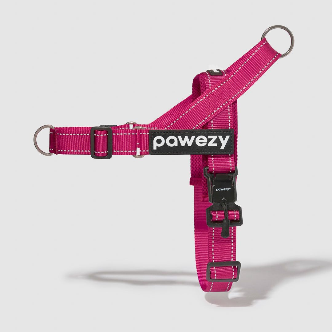 EasyFit No-Pull Harness