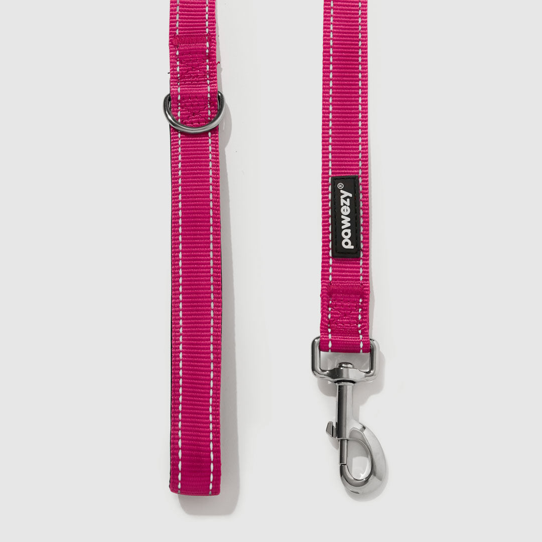 Reflective Leash