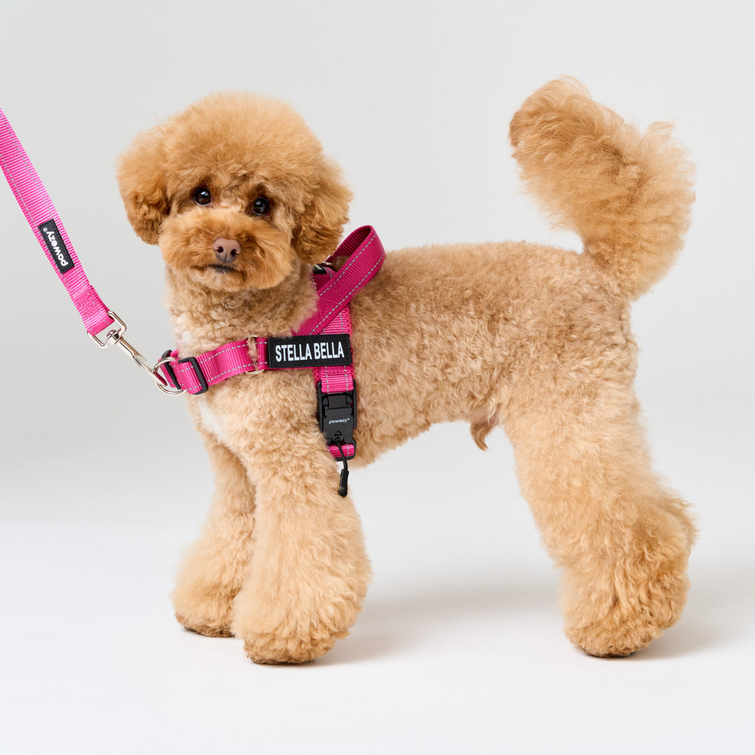 EasyFit No-Pull Harness