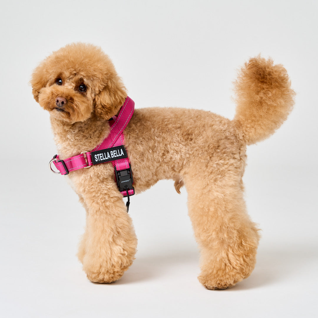 K9 harness mini best sale