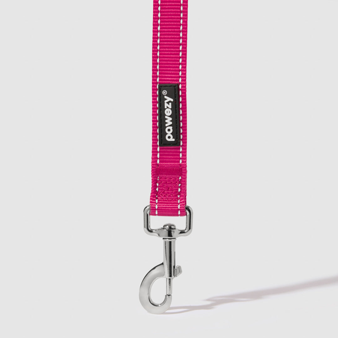 Reflective Leash