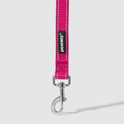 Reflective Leash