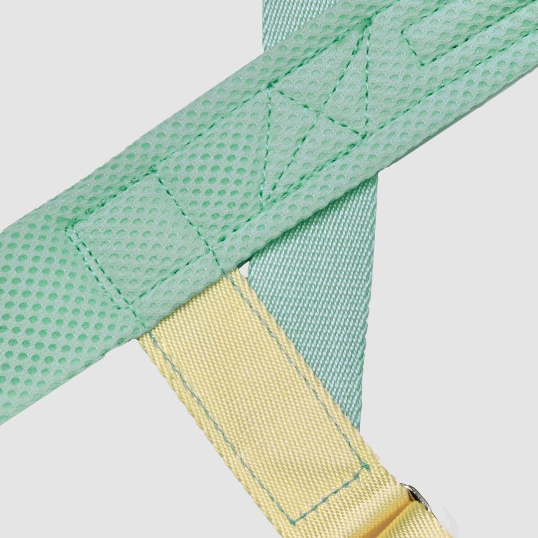EasyFit Air No-Pull Harness