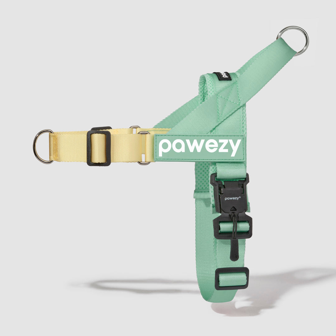 EasyFit Air No-Pull Harness