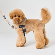 EasyFit No-Pull Harness