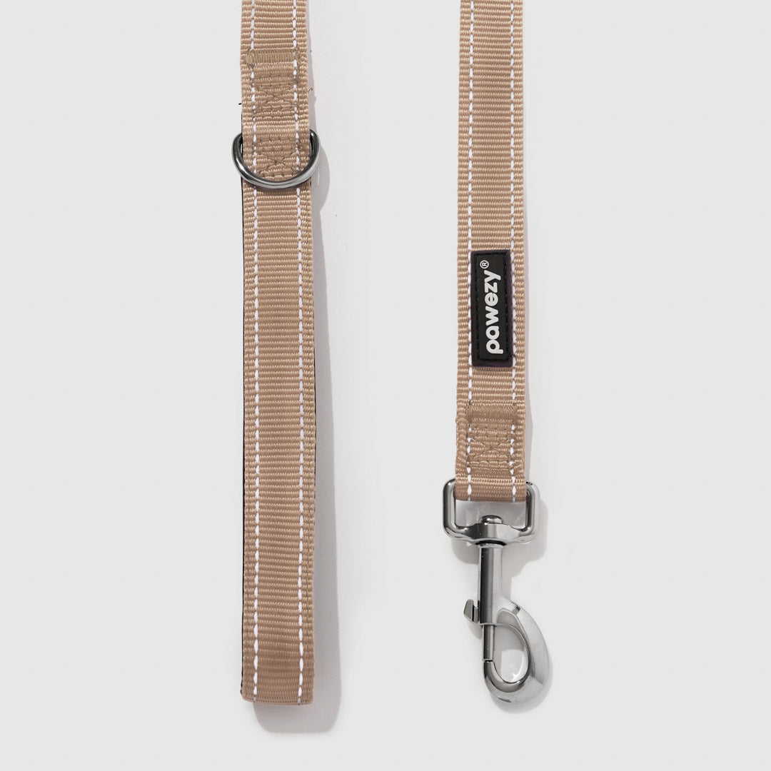 Reflective Leash
