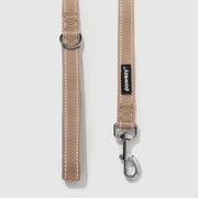 Reflective Leash