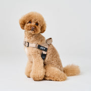 EasyFit No-Pull Harness