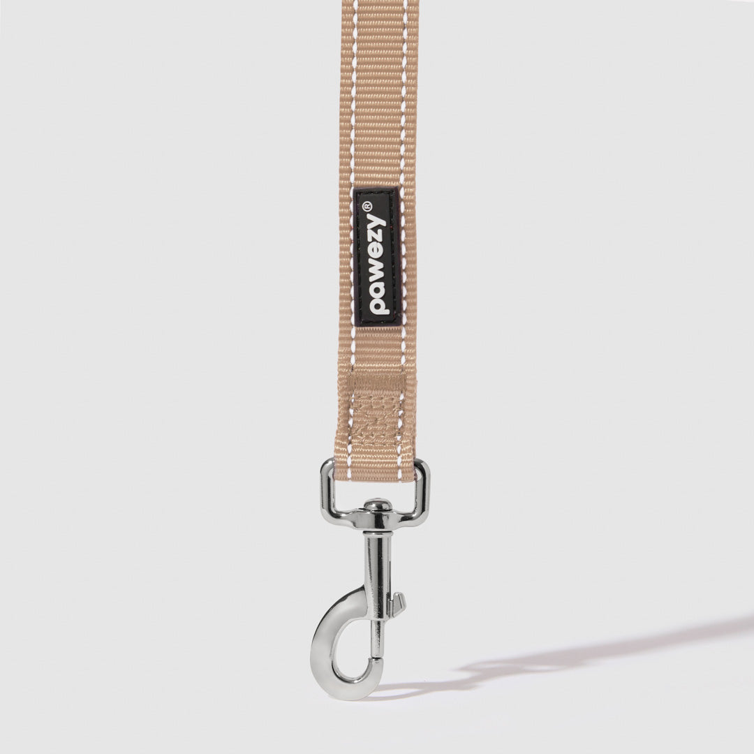 Reflective Leash
