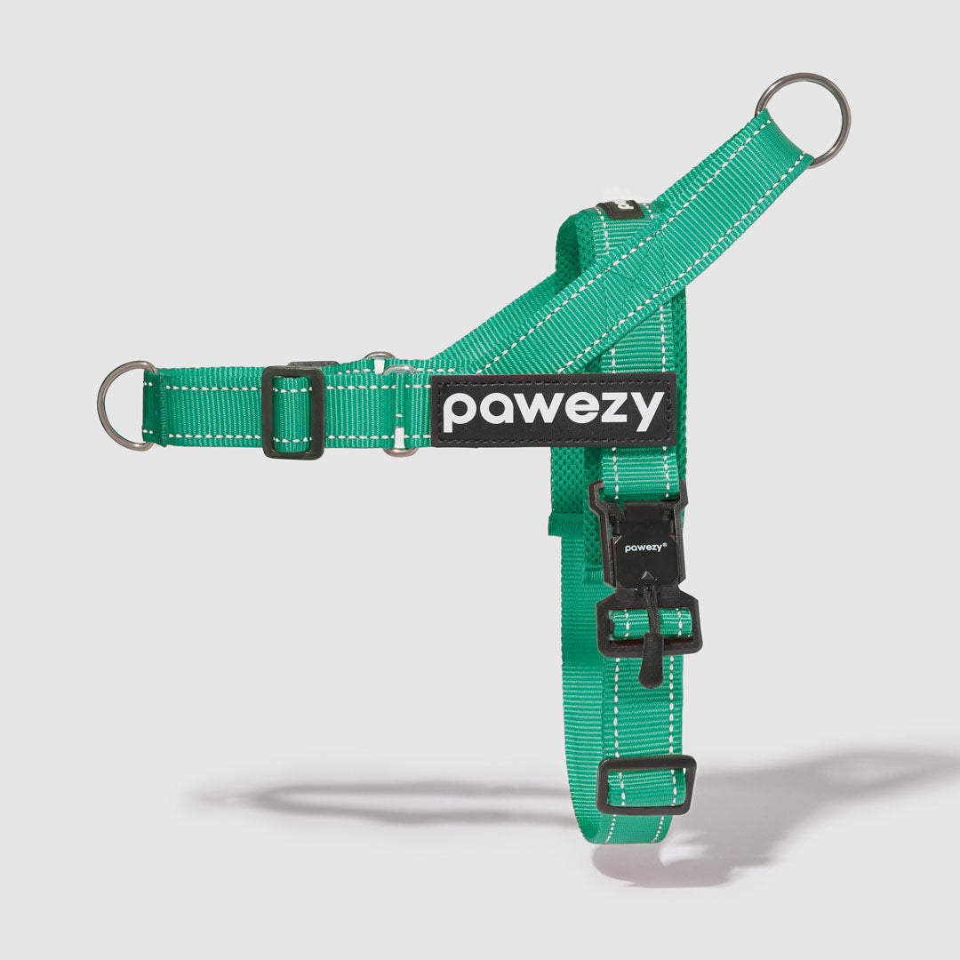 EasyFit No-Pull Kit