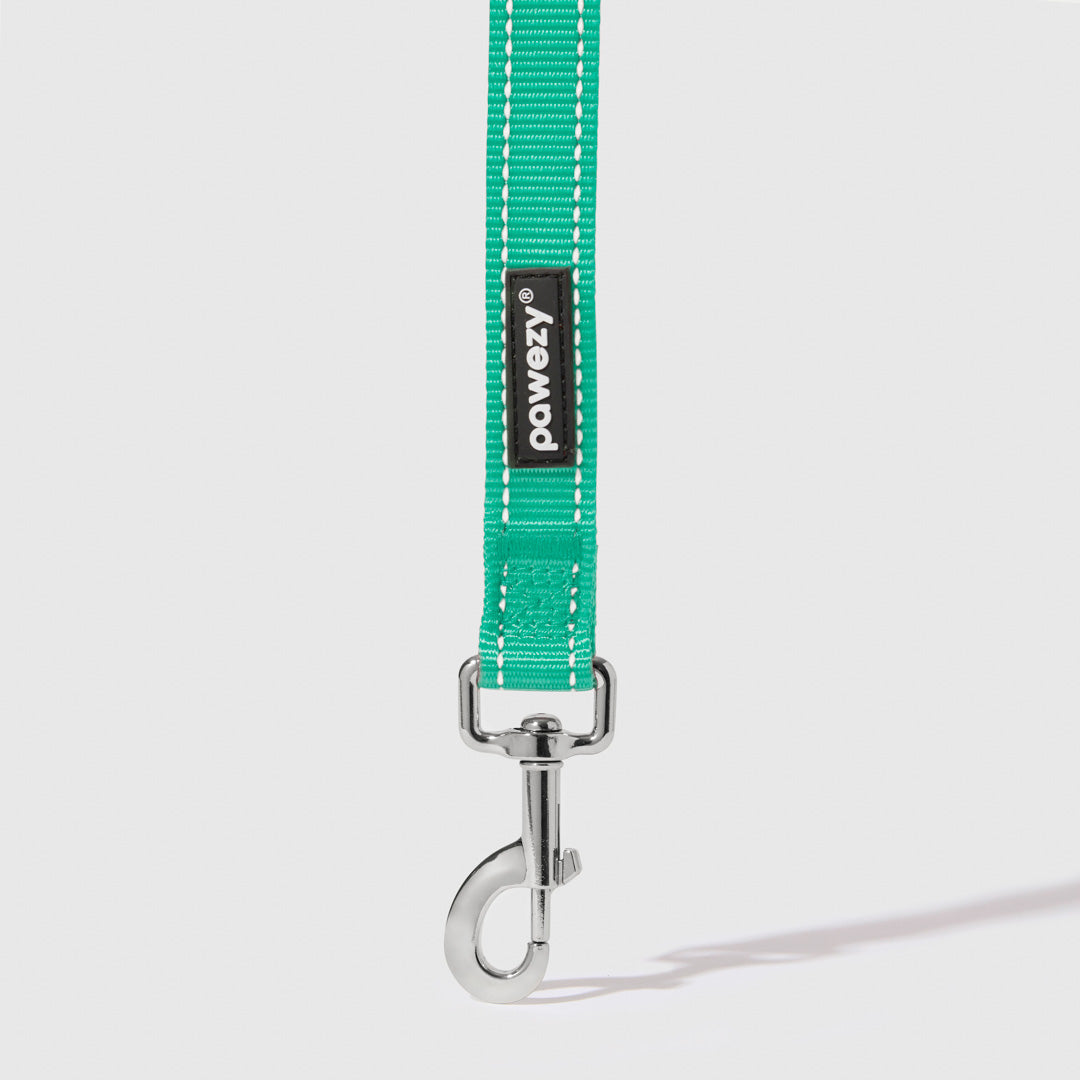 Reflective Leash