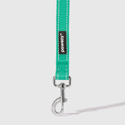 Reflective Leash