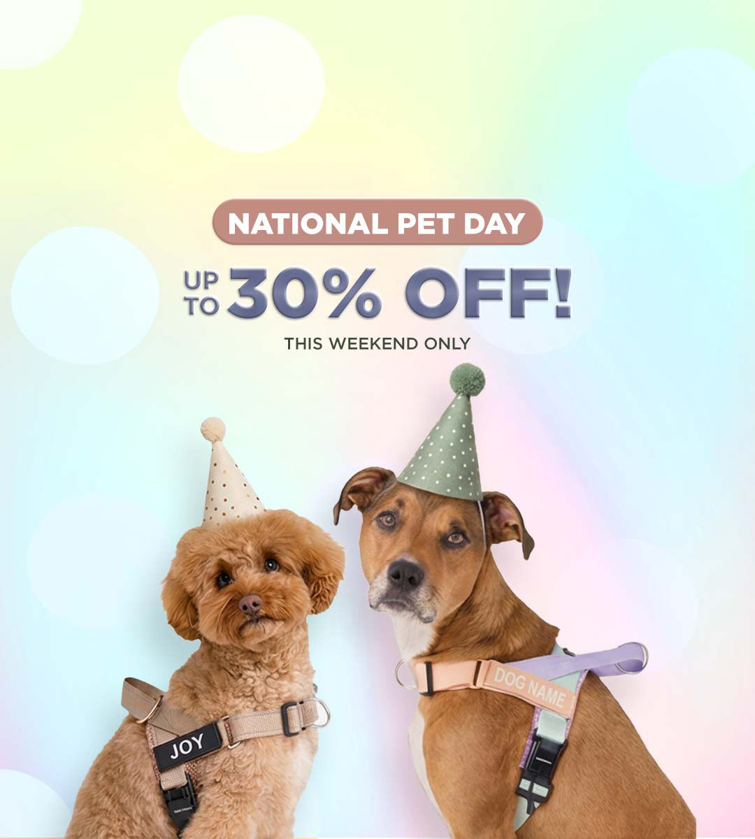 Mobile-Banner---National-Pet-Day.jpg