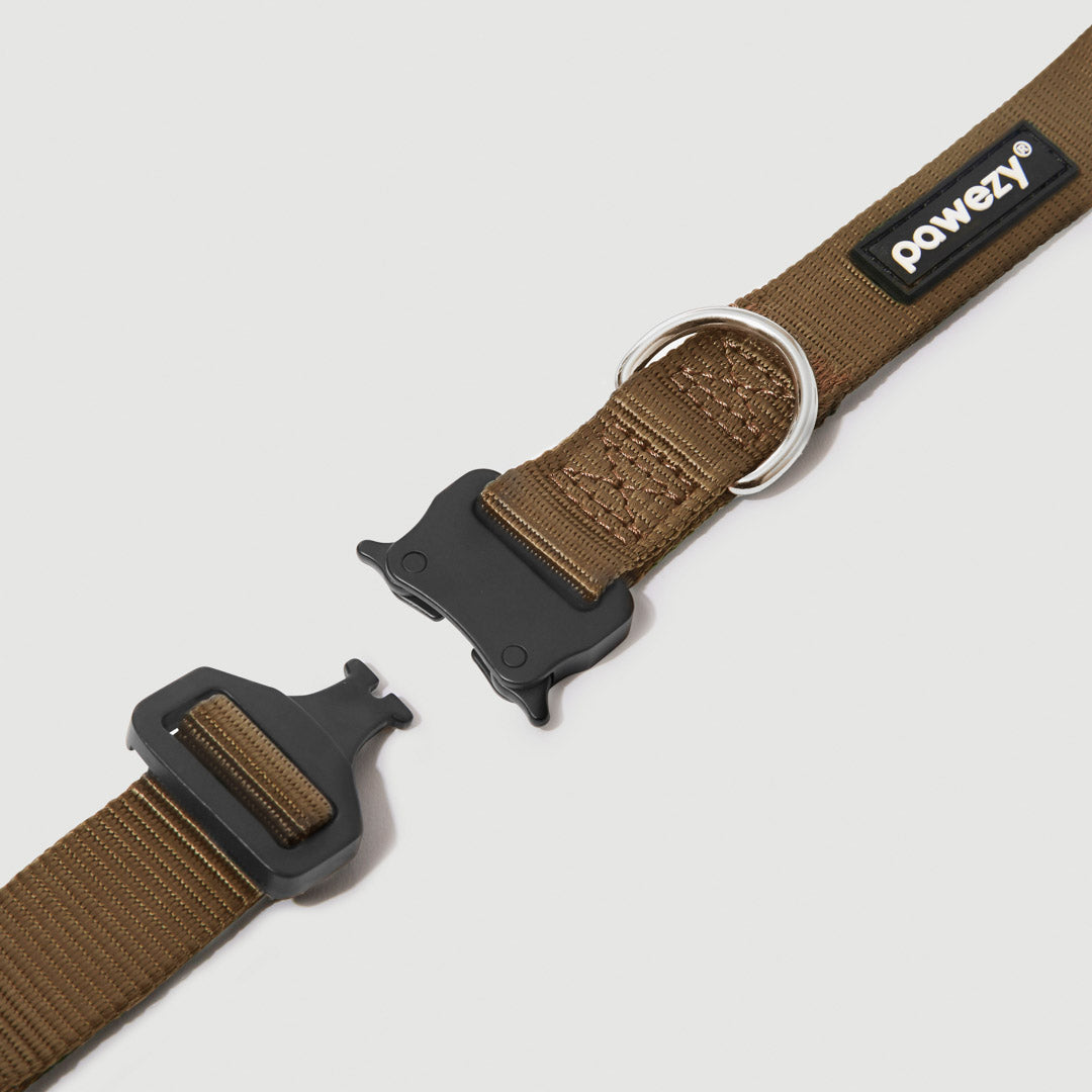 EasyFit Elite Collar