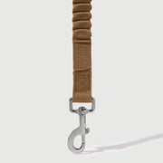 Shock Absorbing Leash