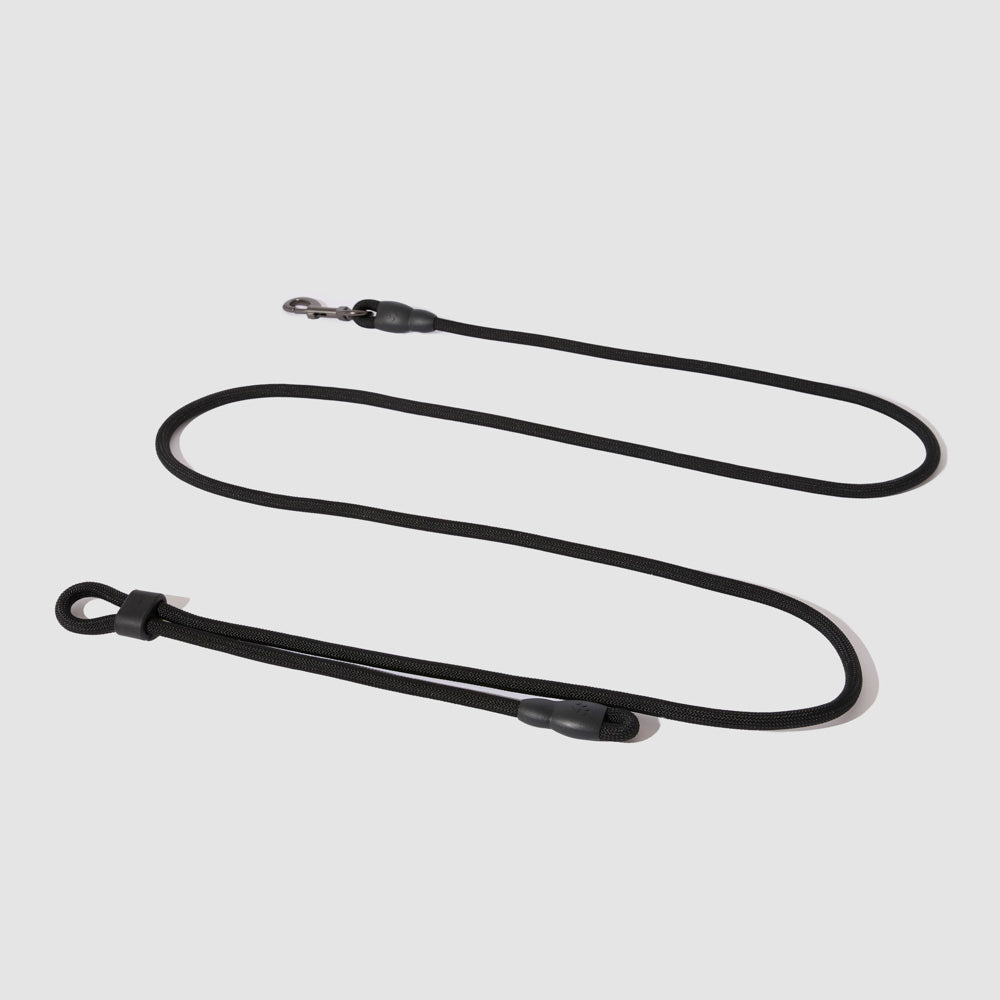 Hands-Free Leash