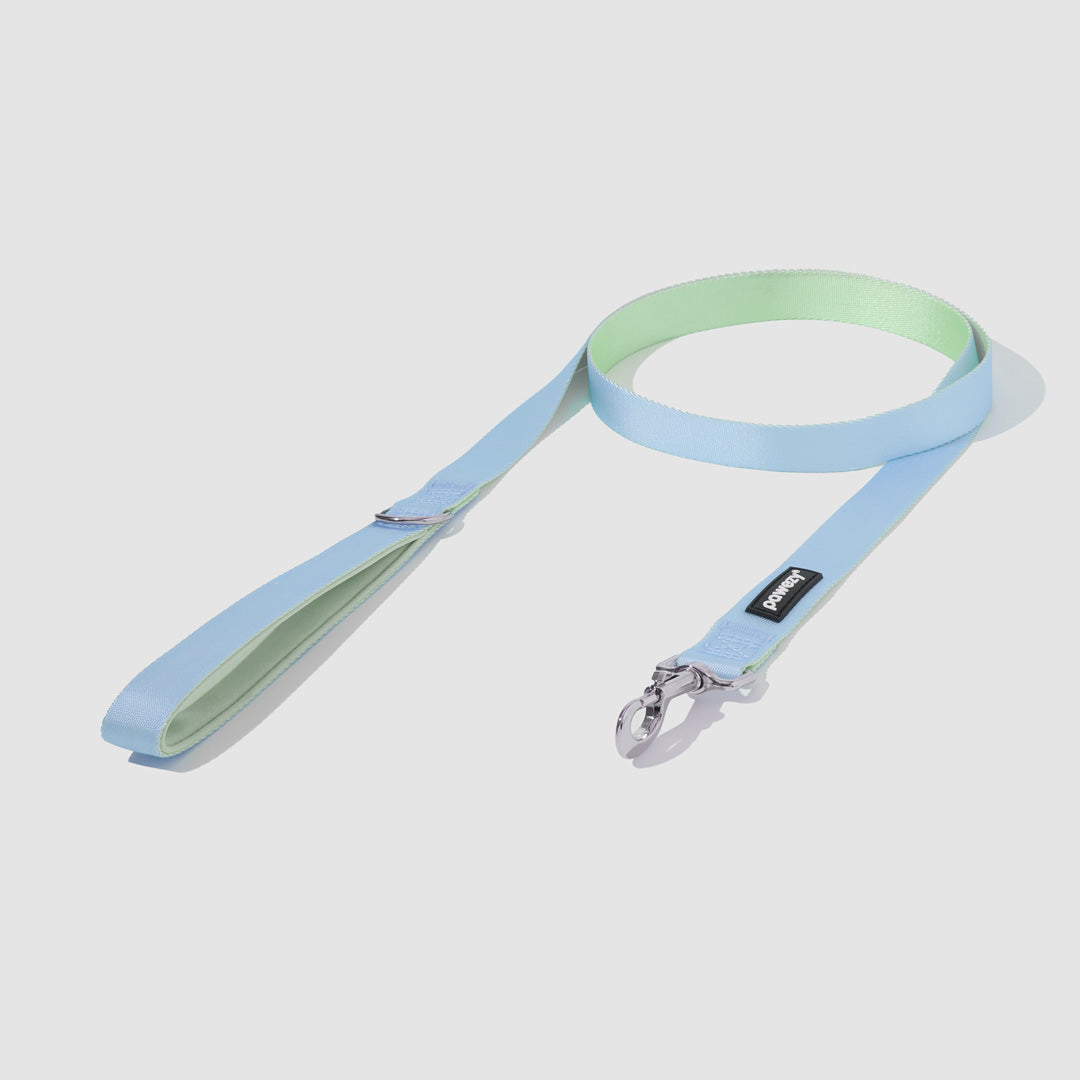 Dual-Tone Leash