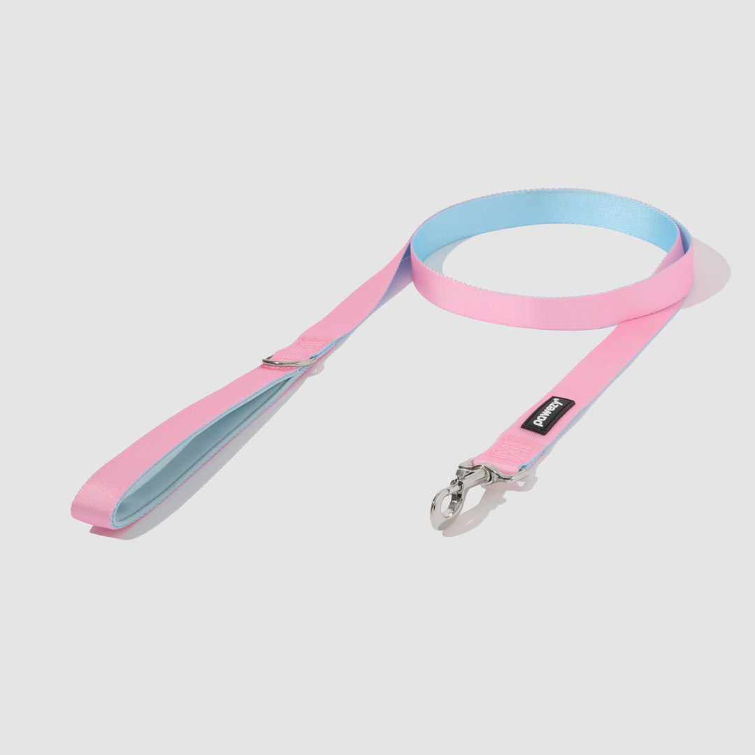 Dual-Tone Leash