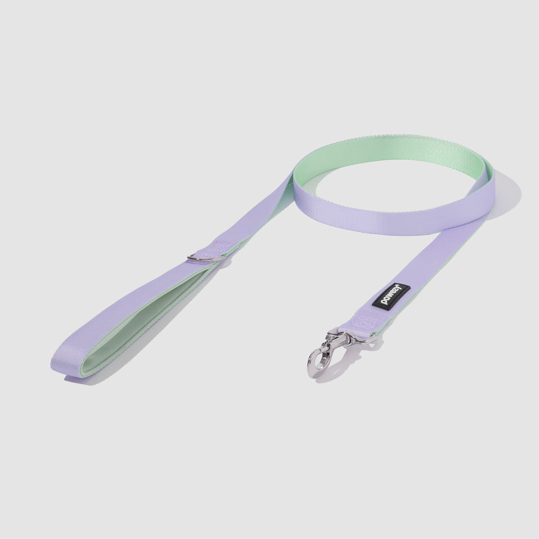 Dual-Tone Leash