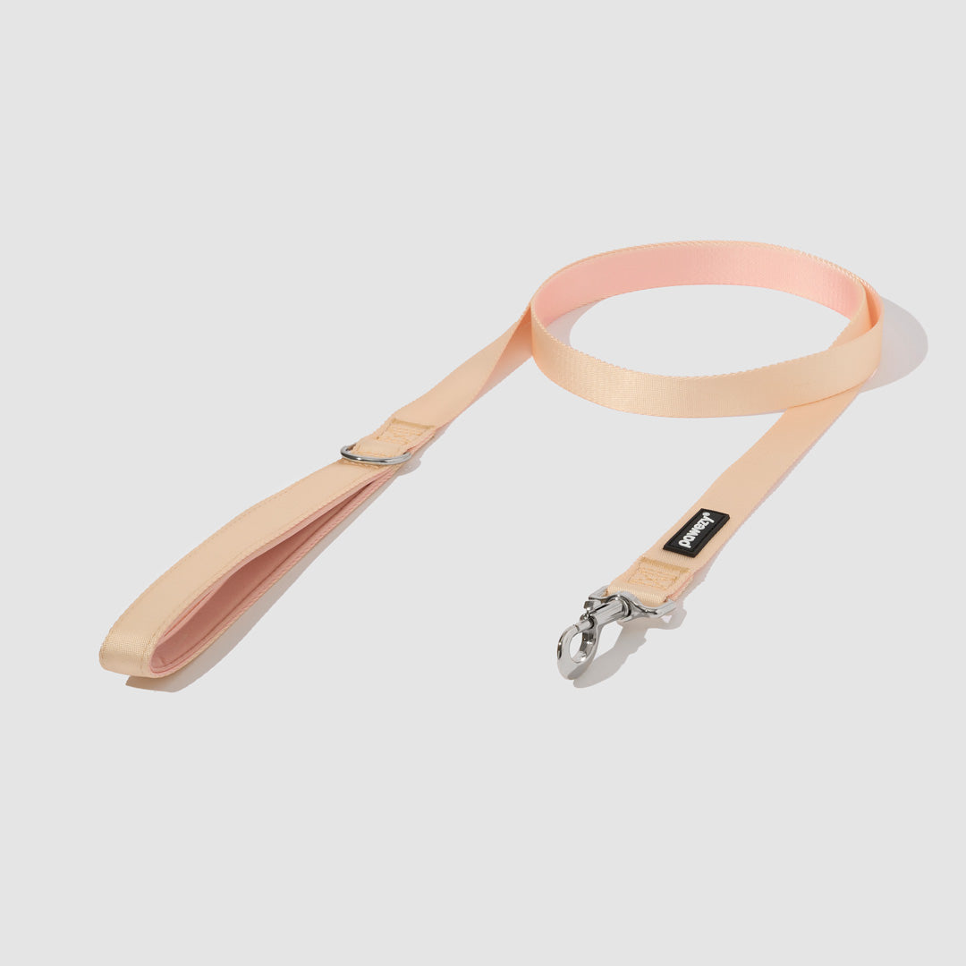 Dual-Tone Leash