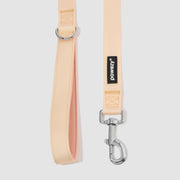 Dual-Tone Leash