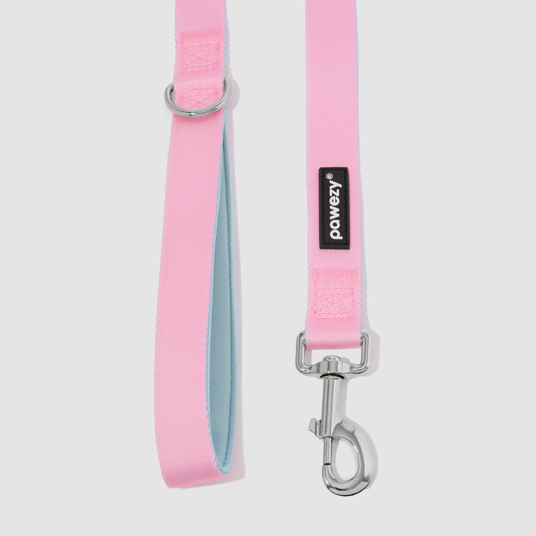 Dual-Tone Leash
