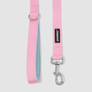 Dual-Tone Leash