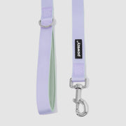 Dual-Tone Leash