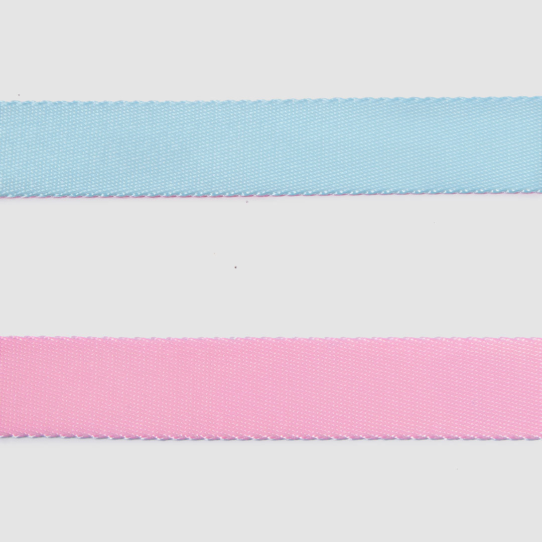 Dual-Tone Leash