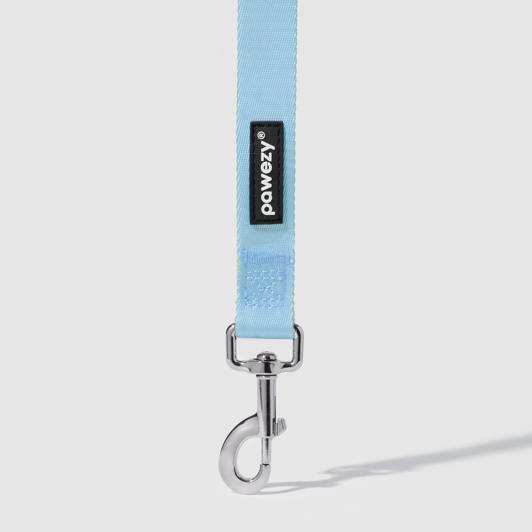 Dual-Tone Leash