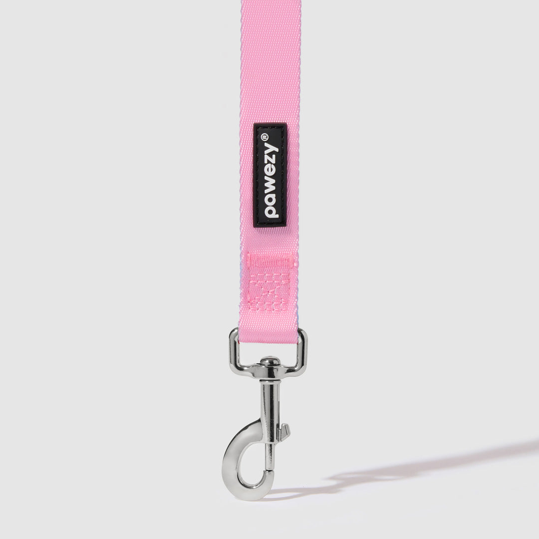 Dual-Tone Leash