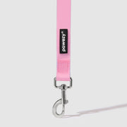 Dual-Tone Leash