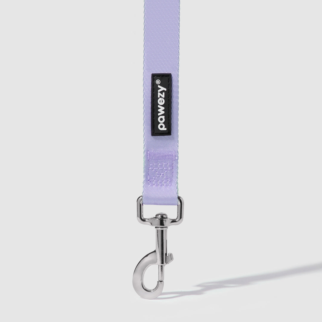 Dual-Tone Leash